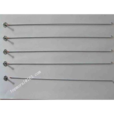 Bicycle Spokes with Red Tip supplier